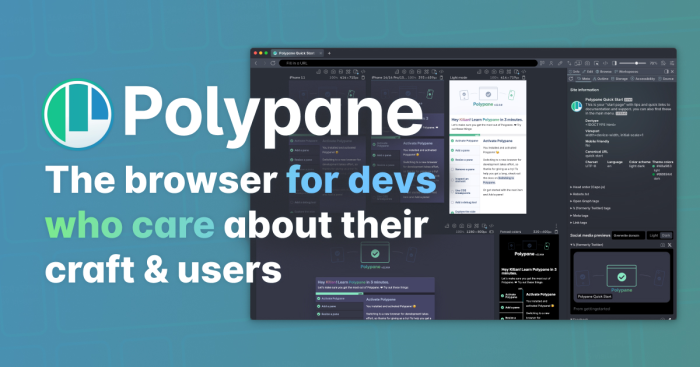 Polypane